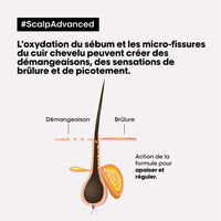 Coffret Scalp Advanced Glacial Utopia