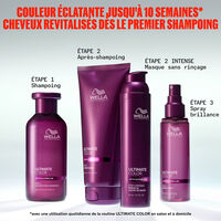 Shampooing Ultimate Color 250 ml