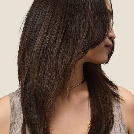 Soin sublimateur Perfect Hair Day