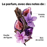 Routine lissante Keratin Alpha Sleek