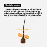 Shampooing dermo-purifiant anti-gras Scalp Advanced 1500ml,  Shampooing dermo-purifiant anti-gras Scalp Advanced 1500ml