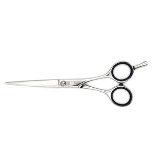 Ciseaux de coupe silver