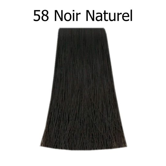 Poudre colorante Bigen 58 Noir Naturel,  Poudre colorante Bigen 58 Noir Naturel