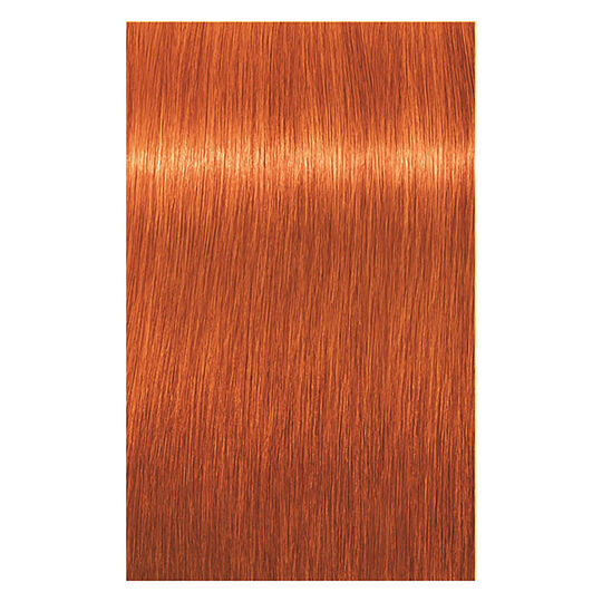 Coloration permanente Igora Royal 8-77 blond clair cuivr&eacute; extra