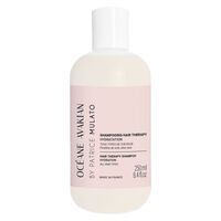 Shampooing hydratation Hair Therapy 250 ml