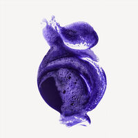 Shampooing neutralisant n&deg;4P