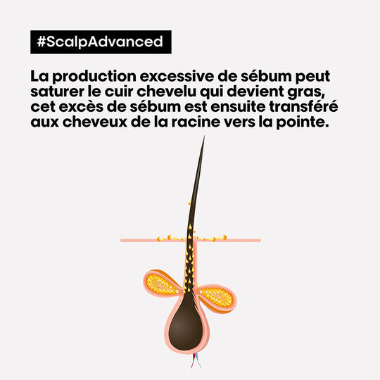 Argile 2-en-1 purifiante anti-gras Scalp Advanced 500ml