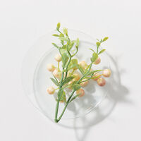 Spray baume l&eacute;ger pour cheveux blonds fins &agrave; normaux Blondme