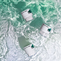 Shampooing sec et poudre volume Vegan Volume Powder,  Shampooing sec et poudre volume Vegan Volume Powder