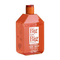 Shampooing protecteur Gold & Summer,  Shampooing protecteur Gold & Summer