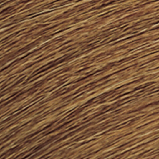 Coloration ton sur ton Shades EQ Gloss 06WG doré chaud mango