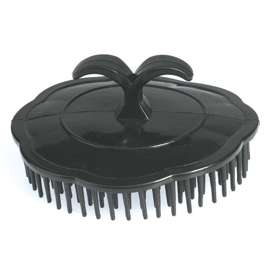 Brosse de massage
