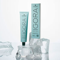 Coloration permanente Igora Royal 12-19 sp&eacute;cial blonde cendr&eacute; violet