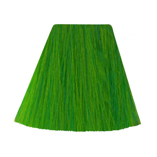 Coloration semi-permanente electric lizard