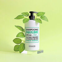 Shampooing &eacute;quilibre racines grasses pointes s&egrave;ches 500ml