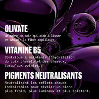 Shampooing Ultimate Color Blonde 250 ml