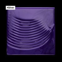 Shampooing d&eacute;jaunissant Silver 300 ml