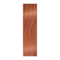 Extensions Cheveux Naturels straight 21