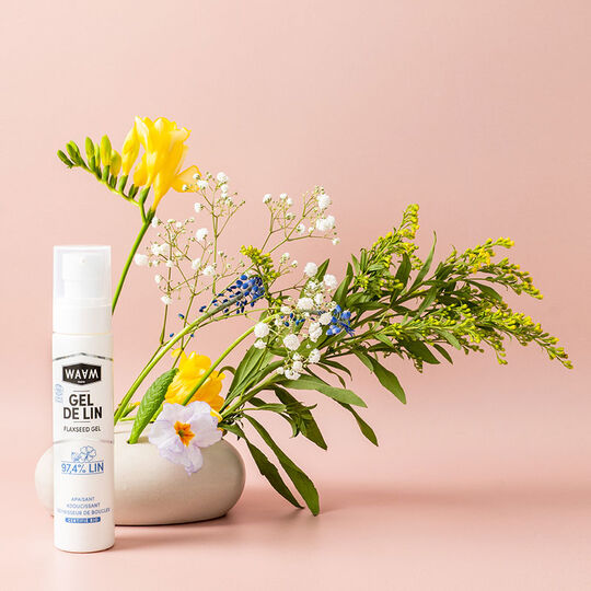 Gel de lin bio