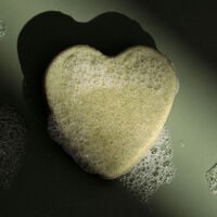 Shampooing solide purifiant à l'ortie piquante,  Shampooing solide purifiant à l'ortie piquante