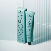 Coloration permanente Igora Royal 12-1 spécial blonde cendré