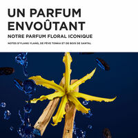 Coffret Nutritive