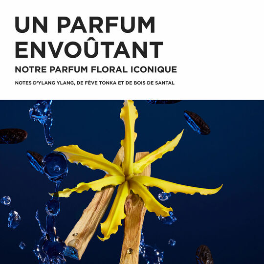 Coffret Nutritive