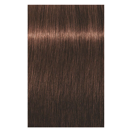 Coloration permanente Igora Royal 5-6 ch&acirc;tain clair chocolat