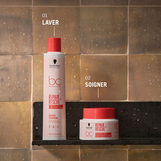 Routine Repair Rescue+