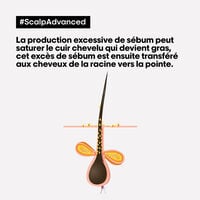 Argile 2-en-1 purifiante anti-gras Scalp Advanced 500ml