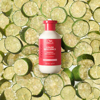 Shampooing cheveux colorés fins à normaux Invigo Color Brilliance 300ml,  Shampooing cheveux colorés fins à normaux Invigo Color Brilliance 300ml