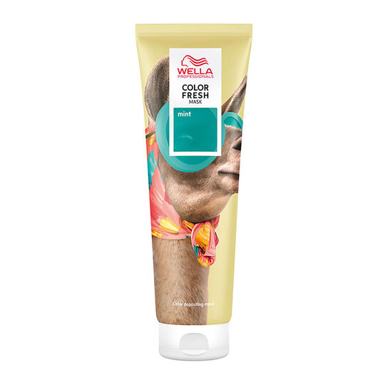 Masque Color Fresh nuance audacieuse mint