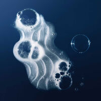 Shampooing lissant No Frizz,  Shampooing lissant No Frizz