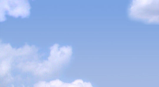 Baume de coiffage Coco