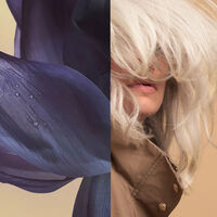 Soin après-shampooing Neutralize