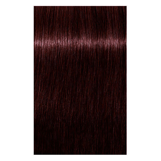 Coloration permanente Igora Royal 5-819 ch&acirc;tain clair nocturne rouge cendr&eacute; violet