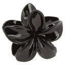 noire