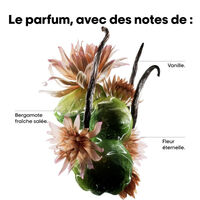 Masque professionnel concentré Absolut Repair Molecular 250ml