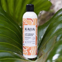 Lait crémeux à la sapote,  Lait crémeux à la sapote