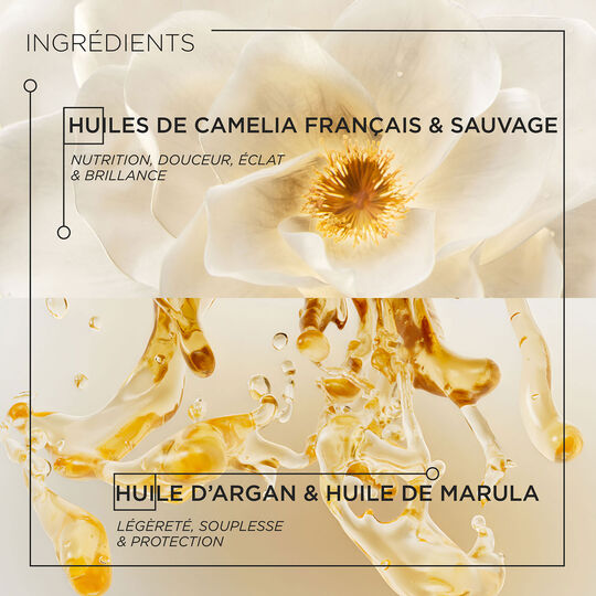 Routine Elixir Ultime