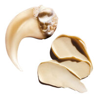 Coffret duo Absolut Repair édition limitée Meteora