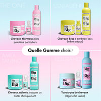 Shampooing Résistance,  Shampooing Résistance