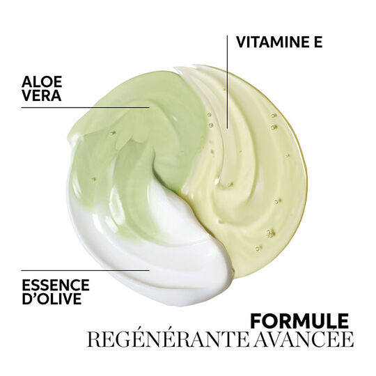 Shampooing r&eacute;g&eacute;n&eacute;rant pour cuirs chevelus normaux &agrave; gras Renewing Elements 250ml