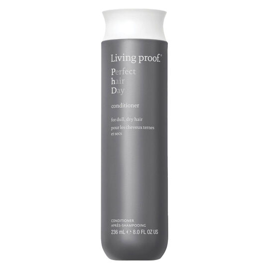 Apr&egrave;s-shampooing Perfect Hair Day