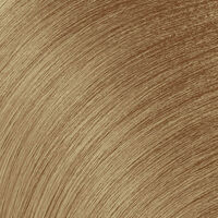 Coloration permanente Color Gels Lacquers dor&eacute; beige 9.31 - 09GB butter