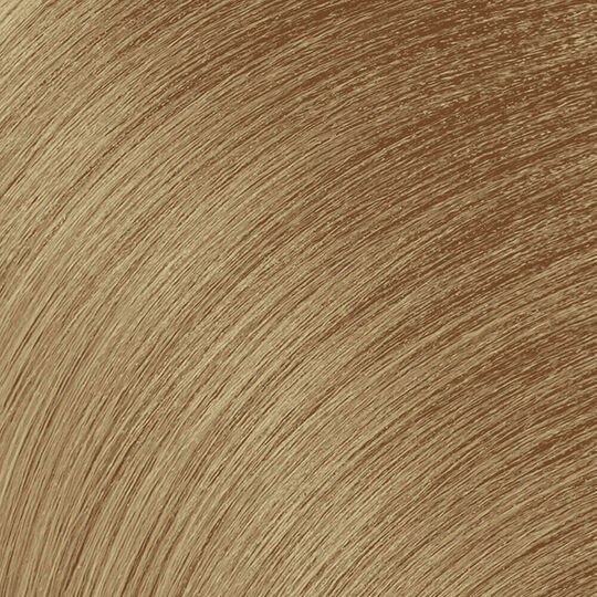 Coloration permanente Color Gels Lacquers dor&eacute; beige 9.31 - 09GB butter