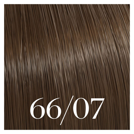 Coloration semi-permanente Color Touch 66/07 blond fonc&eacute; naturel marron