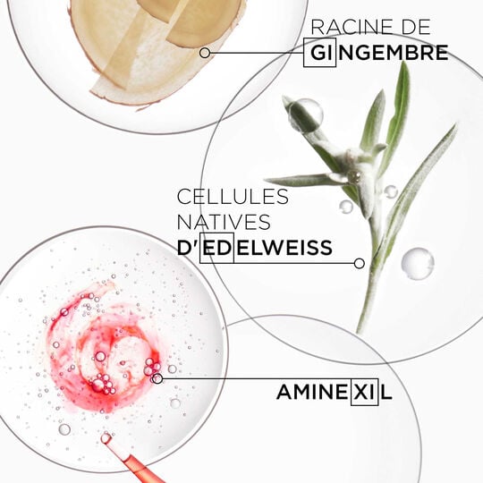 D&eacute;fense Thermique Genesis