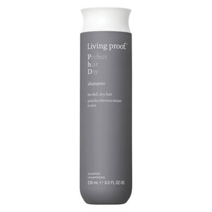 Shampooing Perfect Hair Day