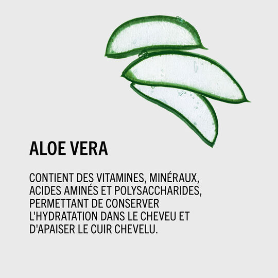 Baume hydratant aloe vera BC Moisture Kick